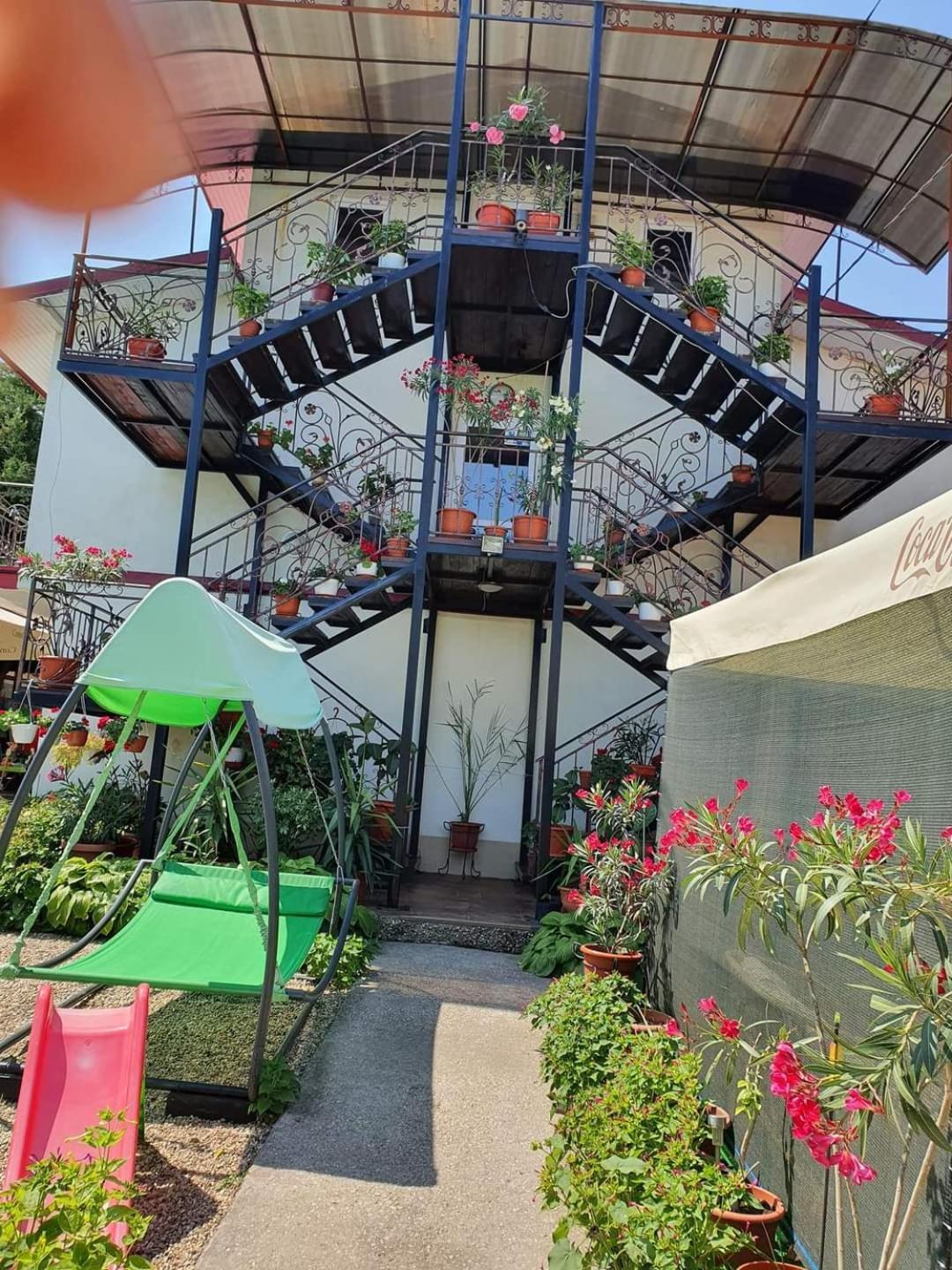 Vila Robert Hotel Schitu Exterior photo